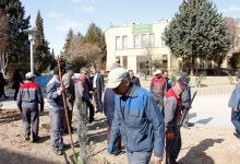 گزارش تصویری از آئیین درختکاری و تقدیر ازهمکاران فضای سبز دانشگاه